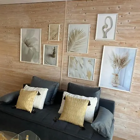 Studio Cocooning *